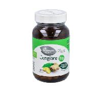 Suplemento natural para la rutina - Jengibre Bio 500 mg 90 cápsulas - El Granero Integral