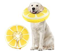 SuplutuX Collar isabelino Inflable, Collar isabelino Perros y Gatos, collarin Perros para no rascarse después de la cirugía para Curar heridas y Evitar mordeduras (M)