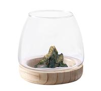 Supporto In Legno Trasparente, Vaso Idroponico Acquario Ecologico | Ciotola Decorativa In Vetro, Centrotavola Per Vasi De Fiori, Decorazioni Per La Casa Di Eventi Di Nozze