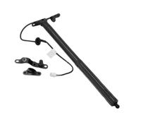 Supporto Portellone Compatible Con Toyota Para RAV4 2013 2014 2015 2016 2017 2018 Puntales Eléctricos Portón Trasero OEM 6891009010 68920-09010(LH)