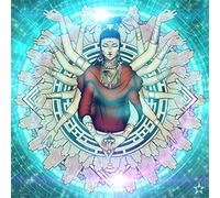 Supreme Paradigm: The Grand Scheme