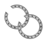 SUPVOX 2 Piezas de Roseta de Guitarra de PVC para Orificio de Sonido, Compacta Alta Fiabilidad, Accesorios Profesionales para Instrumento Musical