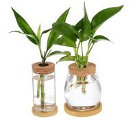 SUPVOX 2piezas Jarrones De Propagación De Plantas De con Tapa De Corcho y Base Macetas Hidropónicas para Decoración Interior Bandeja Diseño Elegante y Funcional