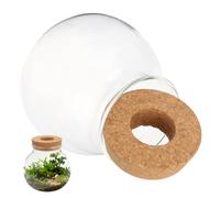 SUPVOX Florero Hidropónico de Vidrio Pequeño Forma de Esfera Tapón Estación de Propagación de Plantas para Cultivo Agua Terrario para Escritorio y Decoración Interior