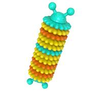 SUPVOX Juguete para Morder Perros TPR Forma de Oruga Azul Pequeño Juguete para Cachorro Limpiador Dental Interactivo para Mascotas Adecuado para y Entrenamiento