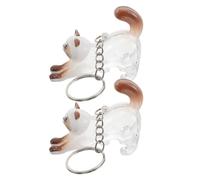 SUPVOX Llavero Conmemorativo Transparente para Gato 2 Piezas, Caja para Guardar Pelo de Mascota, Colgante Decorativo para Recuerdos, Organizador Portátil Adecuado para Amantes de Gatos