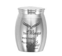 SUPVOX Urna para Cenizas de Mascotas Pequeñas Acero Inoxidable con Alas Guardianas Mini Urna con Tapa Abierta para Perros Gatos y Pequeños Animales Contenedor Conmemorativo para Restos