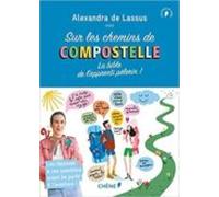 Sur Les Chemins De Compostelle: La Bible De L Apprenti Pelerin!