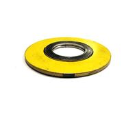 Sur-Seal, Inc. Teadit 900020600GR400 Junta de herida en espiral, Inconel 600 grafito flexible, tamaño de tubo de 20 pulgadas, brida de clase #400 para aplicaciones con alta temperatura variaciones de ciclismo térmico