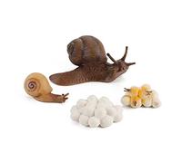 Surakey Ciclo de vida de un caracol, etapas del ciclo de vida, simulación de modelo animal, ciclo de vida de un caracoles, figuras de 4 niveles, insectos animales, biología temprana, juguete educativo