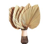 Surluoen 5 Piezas de 18 Pulgadas de Palma Recortada Natural, Lanza, Hojas de Palma Tropical, Abanicos, DecoracióN de Boda, DecoracióN Hawaiana