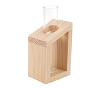 Surluoen Jarrón En Soporte de Madera Tubo de Ensayo de Vidrio Cristal Macetas para Plantas Hidropónicas Decoración de Jardín de Casa