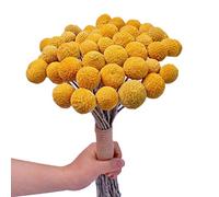 Surluoen Manojo de Ramo de Bolas Amarillas de Flores Secas Naturales, Manojo Real de Plantas Secas ReciéN Cosechadas, DecoracióN para El Hogar