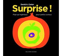 Surprise !: Pop-up ingénieux pour petits curieux
