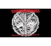 Surroundings - Monuments in Ruins [7" VINYL] [Vinilo]