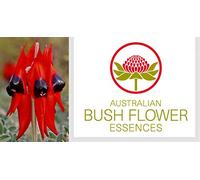 SURT DESERT PEA Flores australianas, mezcla lista para usar, 30 ml, tristeza profunda/fuerza BUSH Flower