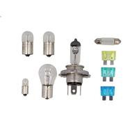 Surtido, bombillas incandescentes PHILIPS 55554SKMDKM