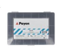 Surtido, tapón de vaciado de aceite PAYEN HL5192 para ARO 10 1.6 1986-1999