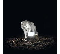 Vanishing Life - Surveillance