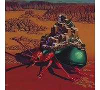 Survival Knife - Loose Power