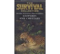 Survival - Leopards and Cheetahs