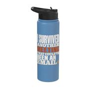 Survived Another Meeting Could've Been Email Stainless Steel Insulated Water Bottle