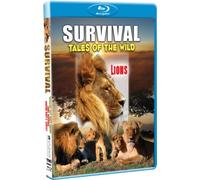 Survivial Tales of the Wild - Survival: Tales of the Wild - Lions [USA] [Blu-ray]