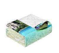 Surwin Colcha de Verano Colcha Acolchada para Cama de Matrimonio Individual,Colcha Bouti de Primavera/Entretiempo Microfibra Ligera Reversible Cubrecama -3D Olas de Playa (Barco de Pesca,230x280cm)