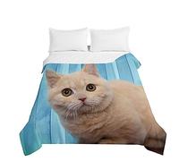 Surwin Colcha de Verano Reversible Colcha Bouti de Primavera y Entretiempo,Microfibra Ligera Colcha Acolchada Cubrecama Lindo Gatito 3D para Cama Individual Matrimonio (Ojos Amarillos,180x220cm)
