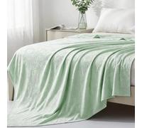 Surwin Manta Refrescante Verano con Fibra de Bambú Q-MAX>0.3, Manta Enfriamiento para Personas Que Duermen Calientes, Ligera Transpirable Alivia Sudor para Sofa, Cama, Perros (Verde,100x120cm)
