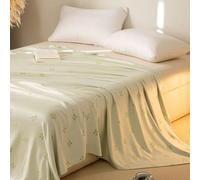 Surwin Manta Refrescante Verano Manta Bambú para Personas Que Duermen Calientes, con Fibra de Bambú, Transpirable Suave Ligera Alivia Sudor y Ayuda Sueño para Sofa, Cama, Perros (Verde,100x120cm)