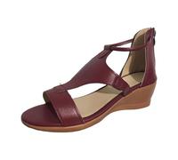 Surwin Sandalia de Tacon para Mujer, Moda Zapato de Tacón 3.5cm Alto Clásicos Comoda, Primavera Verano Sandalia de Vestir para Vestidos de Fiesta 35-43EU (455 Rojo,43)