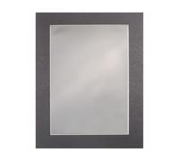 susaa Película de Visualización Magnética, Visor de Campo Magnético de 6 Pulgadas X 4 Pulgadas para Proyectos Científicos, Recuperación Reutilizable y Automática