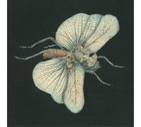 Susanna Go Dig My Grave (Vinyl) 12" Album (Importación USA)