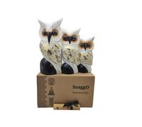 SusggO Set 3 Buhos de Madera Tallados a Mano Figuras Decorativas Artesanales Home Decoration Decoración Buho de la Suerte Decoracion Otoño Decoracion Hogar (3 BUHOS ALAS Blanco Estrella DR)