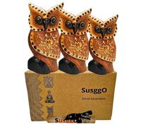 SusggO Set 3 Buhos de Madera Tallados a Mano Figuras Decorativas Artesanales Home Decoration Decoracion Buho de la Suerte Decoracion Habitacion Decoracion Hogar (3 BUHOS ALAS Marron Estrella DR)