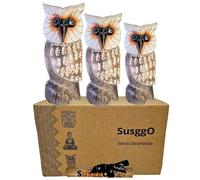 SusggO Set 3 Buhos de Madera Tallados a Mano Figuras Decorativas Artesanales Home Decoration Decoracion Buho de la Suerte Decoracion Habitacion Decoracion Hogar (3 BUHOS ALAS Blanco BABLPT1)
