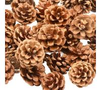 susiodeu La Paja de Pino de piñas Naturales Proporciona una decoración