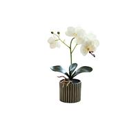 susiodeu Orquídea Artificial Bonsai Potted Phalaenopsis Home Garden Color Brillante Planta Falsa Realista para Interior Balcón Boda, Blanco