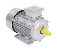 Susoso Motor eléctrico, 230/400 V, motor 4 kW, diámetro del vástago: 28 mm, clase de protección IP55, velocidad de rotación 2895 RPM, motor asíncrono trifásico para minería, 37,7 x 20 x 25,7 cm