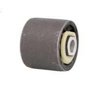 Suspensión, Brazo oscilante FAG 829 0074 10 para OPEL OMEGA B (V94) 2 1994-2000