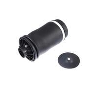 Suspensión De Aire TRISCAN IAM-Expertise Compatible Con MERCEDES-BENZ Clase M