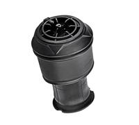 Suspensión Neumática Compatible Con Citroen Para C4 Para Grand Para Picasso I UA MPV 2006-2012 2013 Suspensión Neumática Trasera Para Bolsas De Resorte F307512401 5102.R8