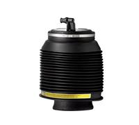 Suspensión Neumática Compatible Con Toyota Para Land Para Cruiser Para Prado Serie 120 2003 2004 2005 2006 2007 2008 2009 Fuelle De Bolsa De Resorte De Aire Trasero Izquierdo 4809035011