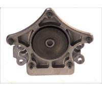 Suspensión, caja automática Lemförder 34954 01 para OE 204 240 06 18