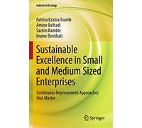 Sustainable Excellence in Small and Medium Sized Enterprises: Continuous Improvement Approaches that Matter (Industrial Ecology)
