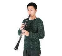 Sustvita 17 - Conjunto de clarinete Bakelite Key, clarinete BB con juncos y tela de limpieza incluida