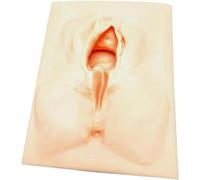 SuturePractice - Modelo para estudiantes de medicina, kit de práctica de sutura vulva y perineal, simulador de episiotomía para enfermeras, material suave resistente al desgarro, simulador de sutura