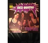 SUZI QUATRO - SUZI QUATRO - TOO BIG - 7 INCH VINYL / 45