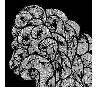 Svalbard - One Day All This Will End [Vinilo]